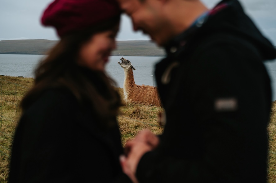 Saksun Faroe Islands Prewedding Photography