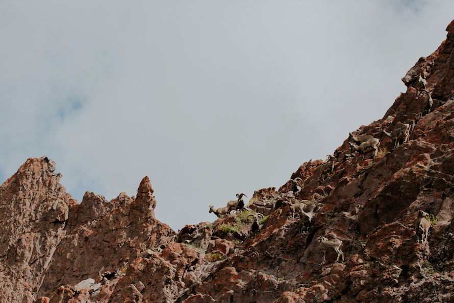 Stok Kangri Summit Climb