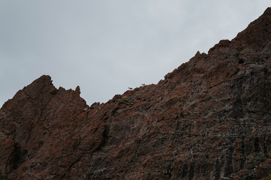Stok Kangri Summit Climb