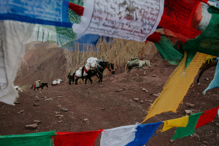 Stok Kangri Summit Climb
