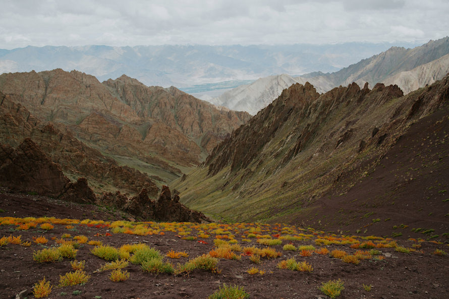 Stok Kangri Summit Climb