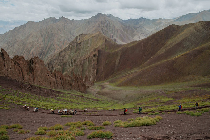 Stok Kangri Summit Climb