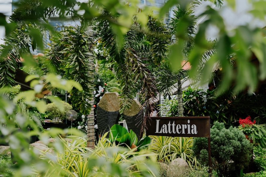 Latteria Mozzarella Bar Duxton Hill Wedding Photography