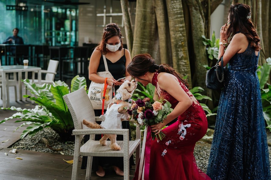 Amara Sanctuary Resort Sentosa Singapore Wedding Photography