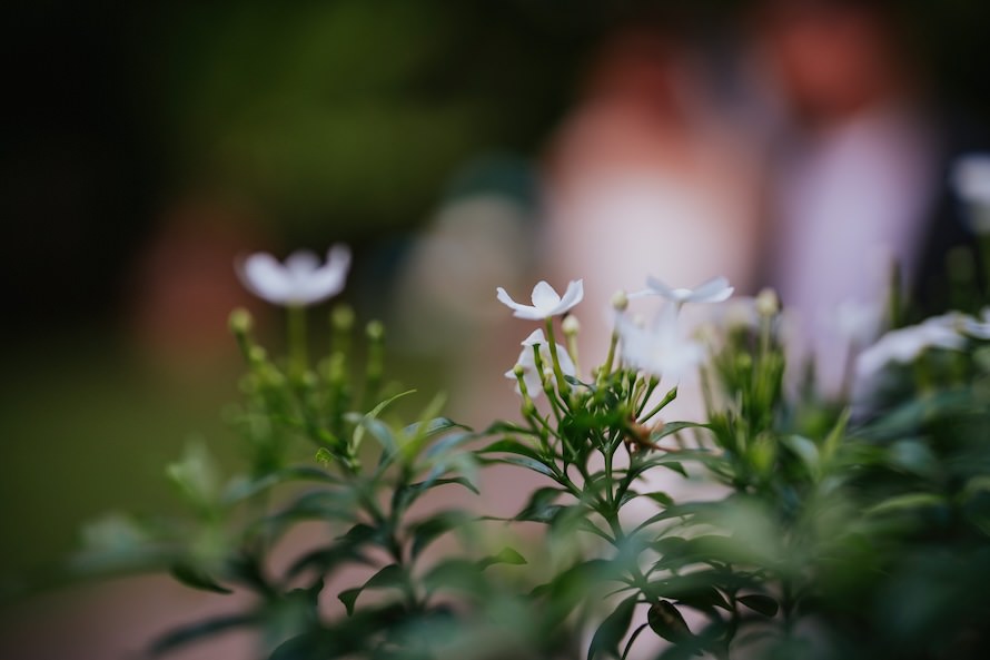 Hort Park Sunrise Singapore Prewedding Photography