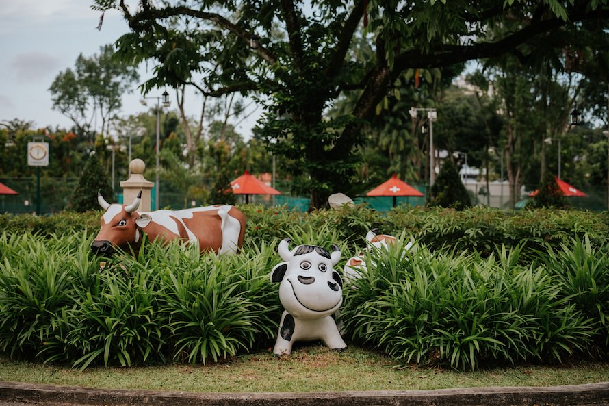Swiss Club Arbenz Singapore Wedding Photography