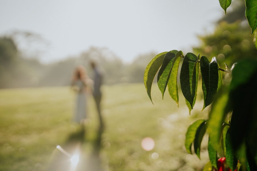 Dairy Farm Singapore Prewedding Photography