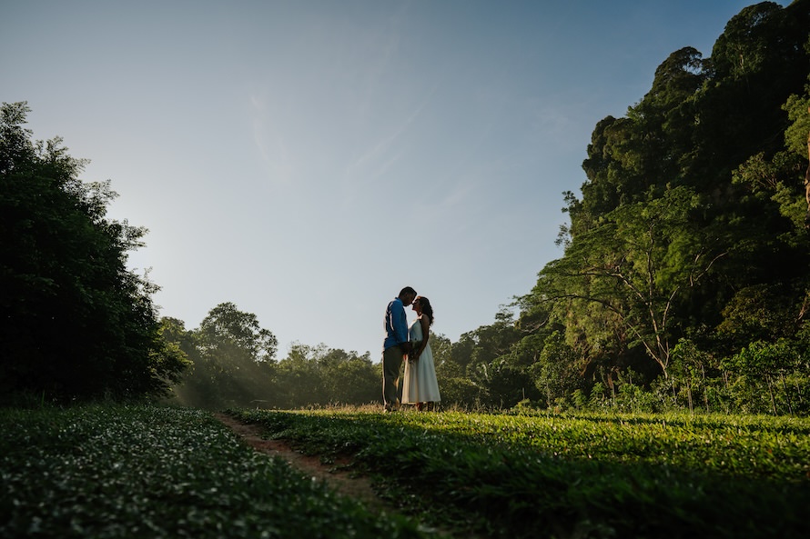 Dairy Farm Singapore Prewedding Photography