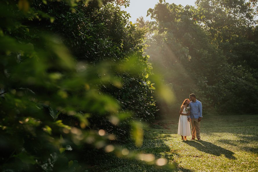 Dairy Farm Singapore Prewedding Photography