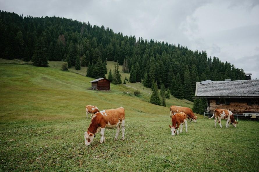 Dolomites Italy Pre Wedding Photography
